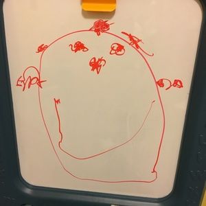 Meet your Posher, Molly